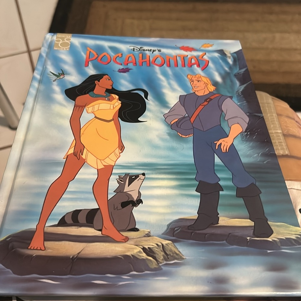 Disney Pocahontas Meeko Illustration Book - Gray & Red